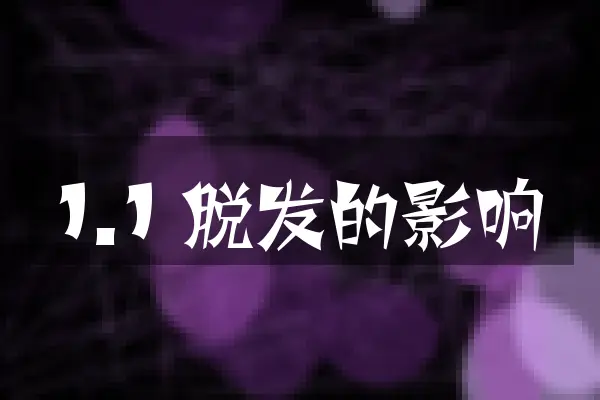 1.1 脱发的影响