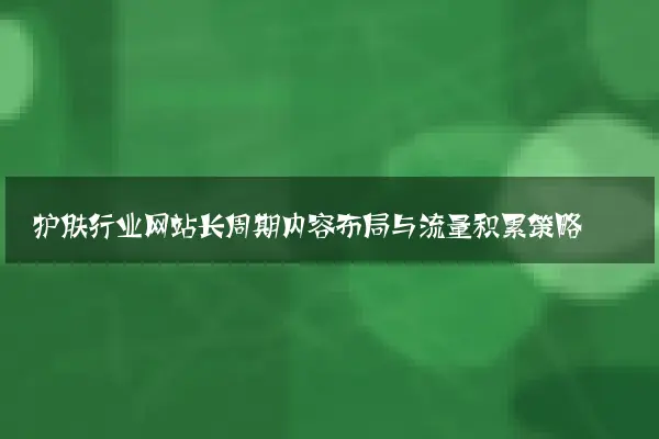 护肤行业网站长周期内容布局与流量积累策略