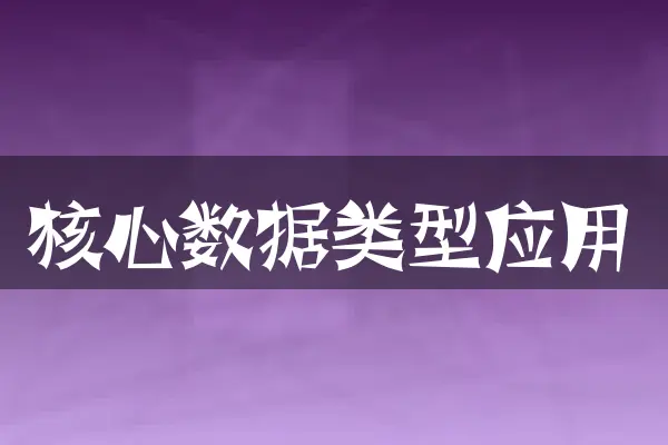 核心数据类型应用