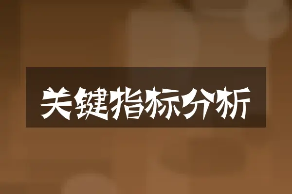 关键指标分析