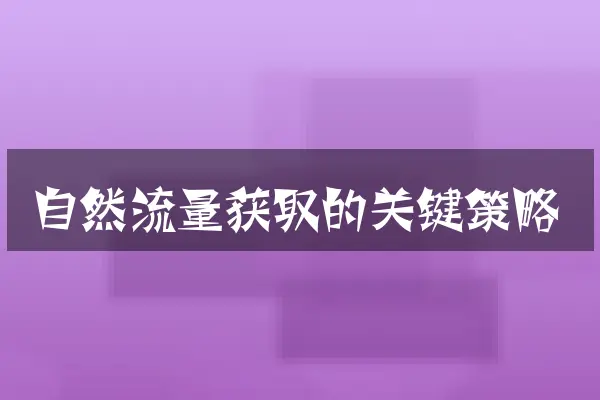 自然流量获取的关键策略