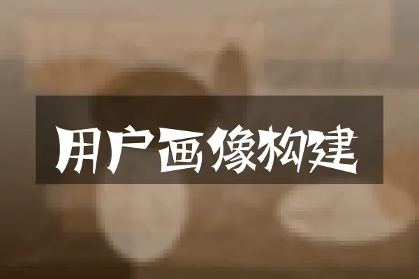 用户画像构建