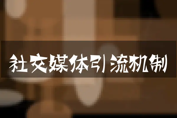 社交媒体引流机制
