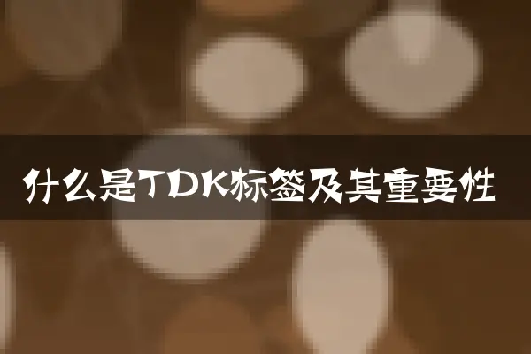 什么是TDK标签及其重要性