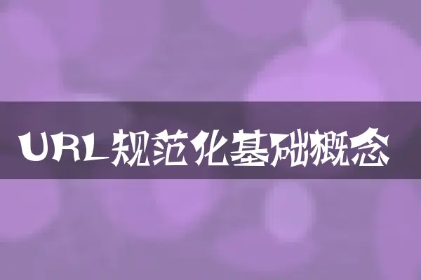 URL规范化基础概念