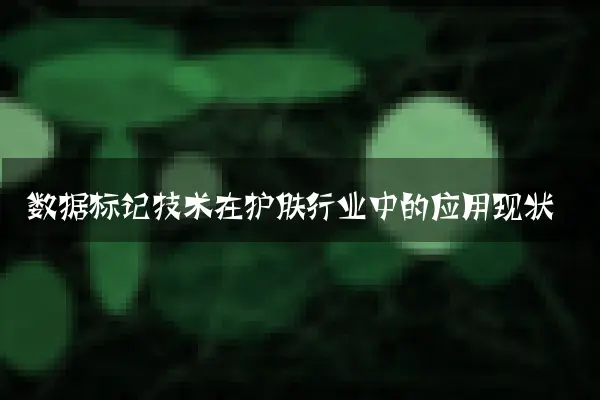 数据标记技术在护肤行业中的应用现状