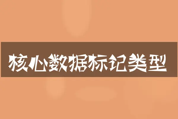 核心数据标记类型